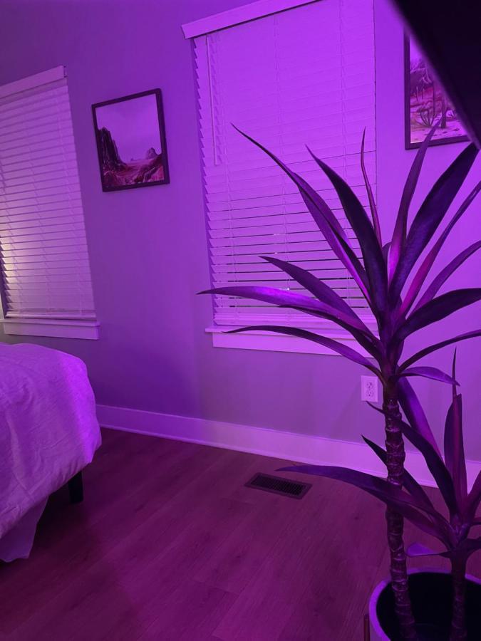 Classy, Cozy, Close To Downtown Nashville Exteriér fotografie